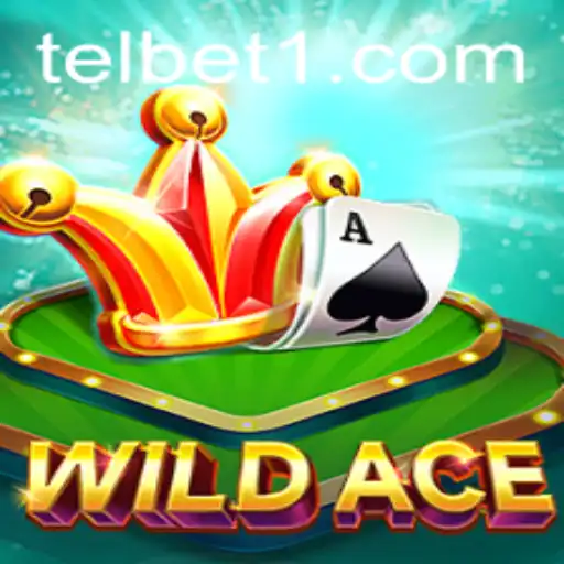 Exploring the Thrills of WildAce: A Comprehensive Overview